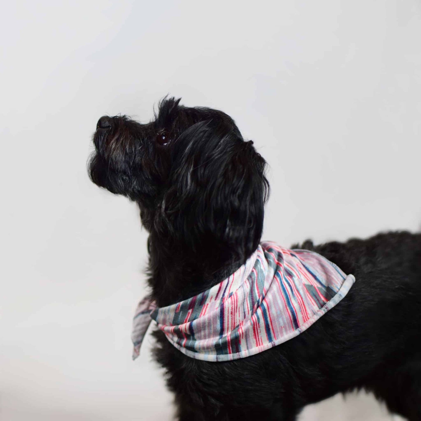 Audrey Liz Matching Bandana